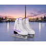 Коньки фигурные FITICE Rental X  VICTORY