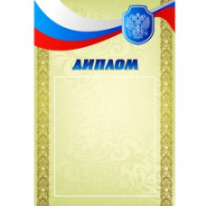 Диплом РФ 2 (170)