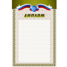 Диплом РФ (163)
