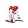 Набор Crazon из двух роботов футболистов на пульте управления Create Toys CR-1902B