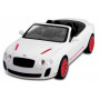 Радиоуправляемая машинка Model Bentley GT Supersport масштаб 1:14 27Mhz Meizhi 2049