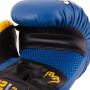 Боксерские перчатки RBG-248 Dx Blue