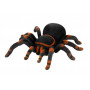 Радиоуправляемый робот-паук Cute Sunlight Tarantula ИК-управление Cute Sunlight Toys 781